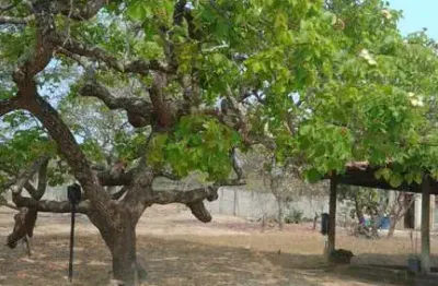 Chácara / sítio com 3 quartos à venda no são sebastião, betim  por r$ 700.000