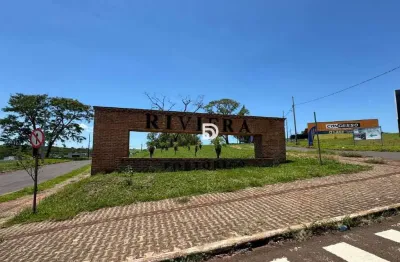 Terreno à venda no Loteamento Riviera, Porto Rico 