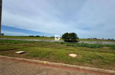 Terreno à venda no Centro, Porto Rico 