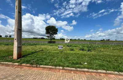 Terreno à venda no Centro, Porto Rico 