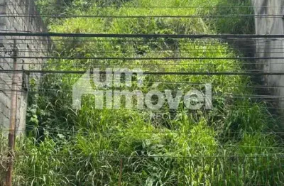 Terreno à venda na Vila Guaca, São Paulo 