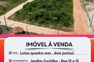 Terreno à venda na Praia do Ervino, São Francisco do Sul 