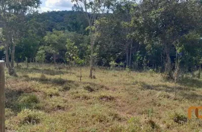 Chácara / sítio com 1 quarto à venda na luiz gonzaga jaime, 100, alto do bonfim, pirenópolis por r$ 120.000