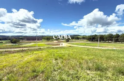 Terreno à venda no Belvedere, Chapecó 