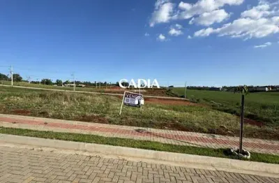 Terreno à venda no Belvedere, Chapecó 