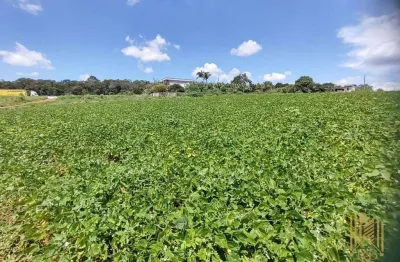 Área à venda, 30000 m² por r$ 6.000.000 - as margens da rodovia fernão dias cruz alta - pouso alegre/mg