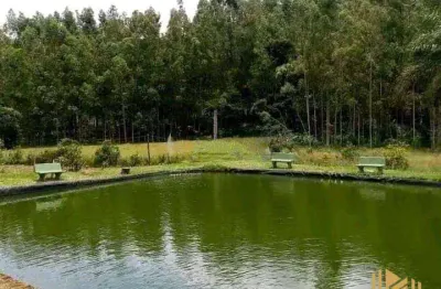 Chácara com 3 dormitórios, 6000 m² - venda por r$ 690.000 ou aluguel por r$ 4.500/mês - dos vitorinos - silvianópolis/mg