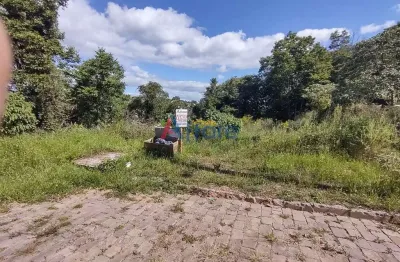 Terreno à venda no Salgado Filho, Caxias do Sul 
