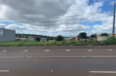 Terreno 303 m² marginal da Rodovia Carlos João Strass Jardim Tropical Londrina