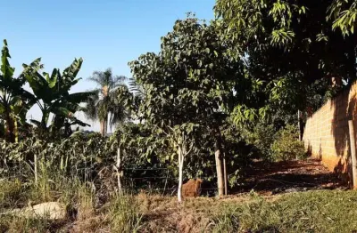 Chácara / sítio à venda na Zona Rural, Ibiporã 