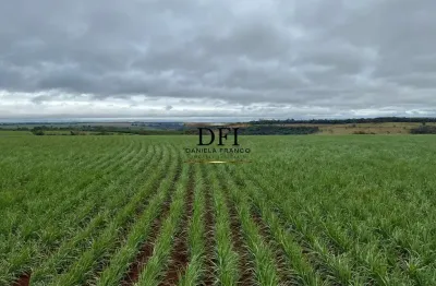Fazenda à venda na área rural, 90900, área rural de avaré, avaré por r$ 23.200.000
