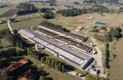 Chácara / sítio com 1 quarto à venda na dos lírios, 33333, jardim bela vista, porto feliz por r$ 4.800.000