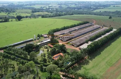 Chácara / sítio com 1 quarto à venda na área rural, 111111, área rural de artur nogueira, artur nogueira por r$ 7.000.000