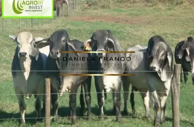 Fazenda à venda na rural, 030000, área rural de bauru, bauru por r$ 55.000.000