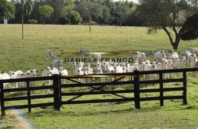 Fazenda com 4 salas à venda na rural, 22, área rural de avaré, avaré por r$ 39.999.999