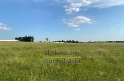 Chácara / sítio à venda na Estrada Bairro Alegre, Gleba A, sn, Centro, Holambra