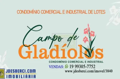 Terreno comercial à venda na Campo De Galadíolos, km30, Zona Rural, Holambra