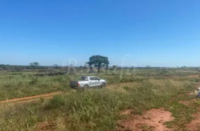Fazenda à venda no Centro, Paranaíba 