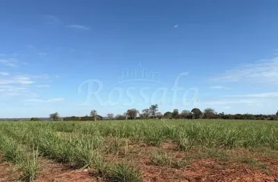Fazenda à venda na Zona Rural, Três Fronteiras 