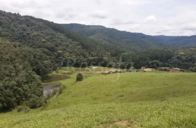 Chácara / sítio com 5 quartos à venda no Centro, Juquitiba 