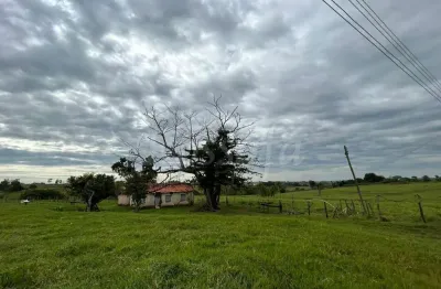 Fazenda à venda na Zona Rural, Palmeira D'Oeste 