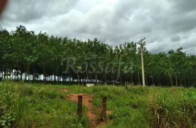 Chácara / sítio à venda na Zona Rural, Palmeira D'Oeste 