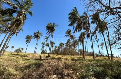 Chácara / sítio à venda na Zona Rural, Palmeira D'Oeste 