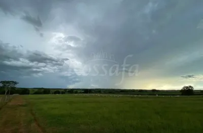 Chácara / sítio à venda na Zona Rural, Santa Rita D'Oeste 