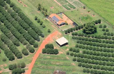 Chácara / sítio à venda na Zona Rural, Aparecida D'Oeste 