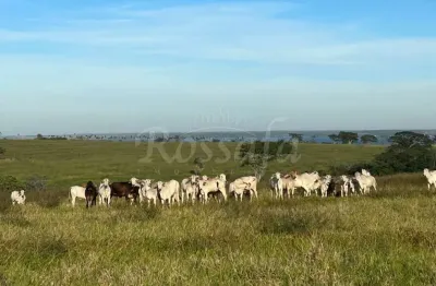 Chácara / sítio à venda na Zona Rural, Rubinéia 