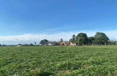 Chácara / sítio à venda no Centro, Rubinéia 
