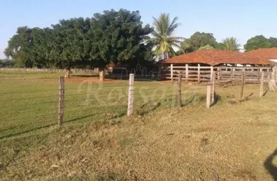 Chácara / sítio à venda em Lagoa da Garça, Rubinéia 