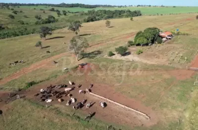 Fazenda à venda no Centro, Aparecida do Taboado 