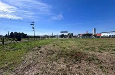 Oportunidade única! terreno comercial à venda na vila pureza, são carlos.