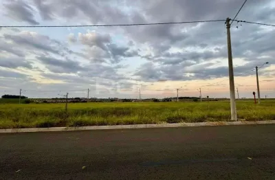 Terreno à venda na Rua Edgard Archanjo Pereira, Jardins do Porto, São Carlos