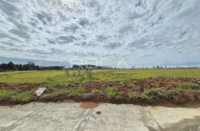Terreno à venda no jardim letícia, são carlos: excelente oportunidade para construir!