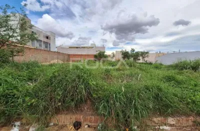 Terreno à venda na Rua Ethiwaldo Alexandre Martins, Parque Santa Felícia Jardim, São Carlos