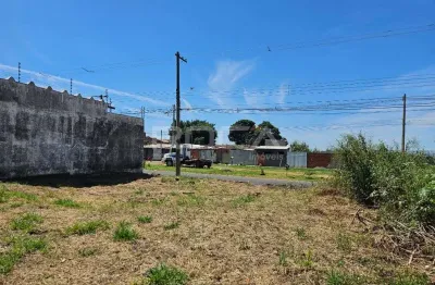 Terreno comercial à venda no jardim ipanema, são carlos - oportunidade imperdível!