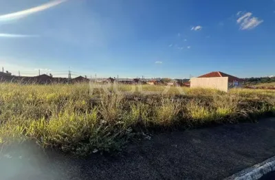 Terreno à venda na Rua Paschoal Frujuelle, Distrito Industrial Miguel Abdelnur, São Carlos