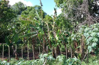 Chácara / sítio à venda na Rua Jesuíno de Arruda, 3663, Jardim São Carlos, São Carlos
