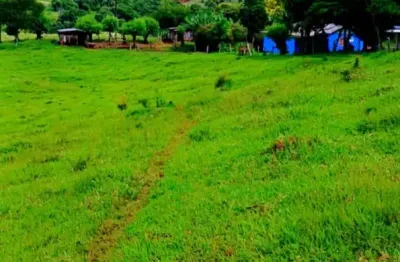 Chácara / sítio com 3 quartos à venda no Zona Rural, Guaraniaçu 