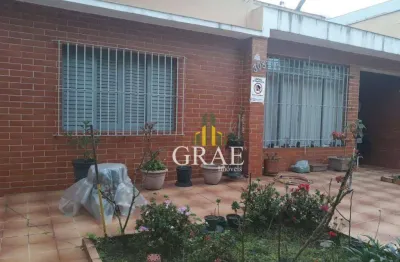 Terreno à venda, 330 m² por R$ 950.000,00 - Vila Euclides - São Bernardo do Campo/SP