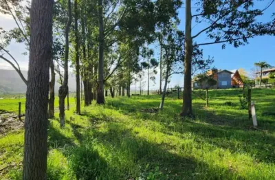 Chácara / sítio com 1 quarto à venda na Rua Padre Atanásio Orth, 01, Morro Alto, Maquiné