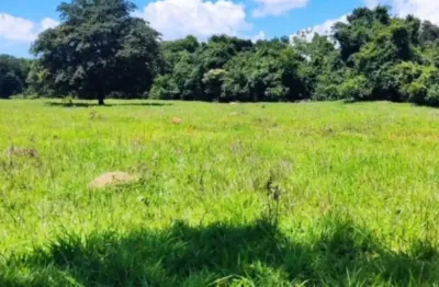 Chácara na Beira do Asfalto na Go 222 Municipio  Corumbá de Goiás