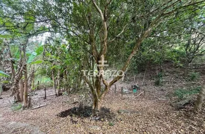 Chácara / sítio à venda na São Luiz Da Barra, Califórnia, Barra do Piraí