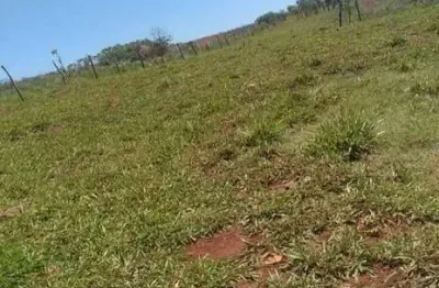 Chácara / sítio com 2 quartos à venda na Área Rural de Arapongas, Arapongas 
