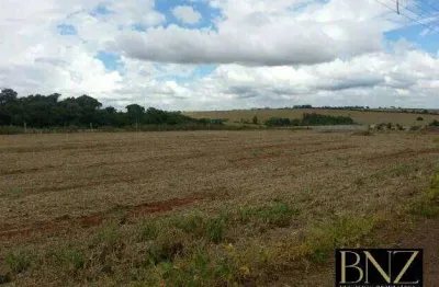 Terreno à venda no Residencial São Francisco, Arapongas 
