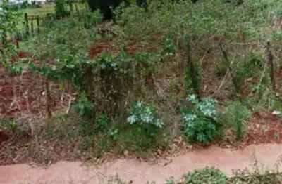 Terreno comercial à venda na Vila Triângulo, Arapongas 