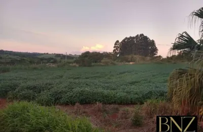 Chácara / sítio à venda na Área Rural de Arapongas, Arapongas 