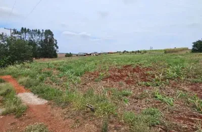 Chácara / sítio à venda na Estrada São Domingos, Jardim São Domingos, Maringá